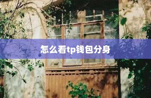 怎么看tp钱包分身