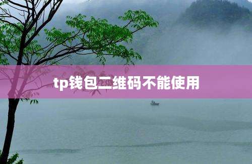 tp钱包二维码不能使用