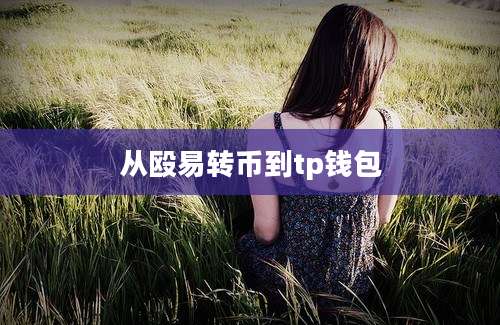 从殴易转币到tp钱包