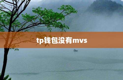 tp钱包没有mvs