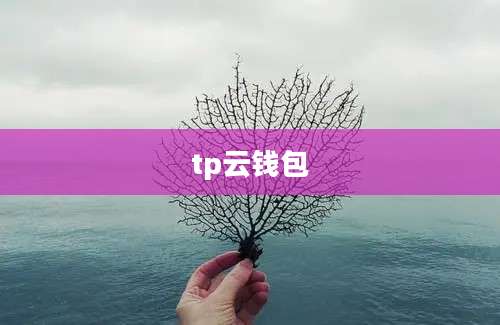 tp云钱包