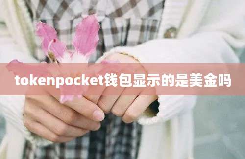 tokenpocket钱包显示的是美金吗