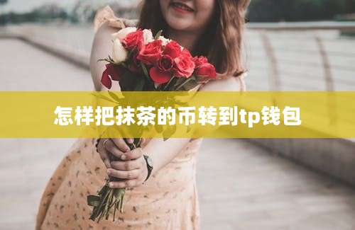 怎样把抹茶的币转到tp钱包