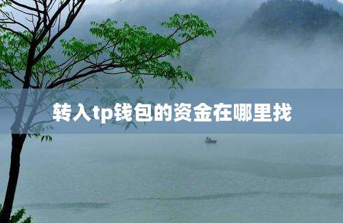 转入tp钱包的资金在哪里找