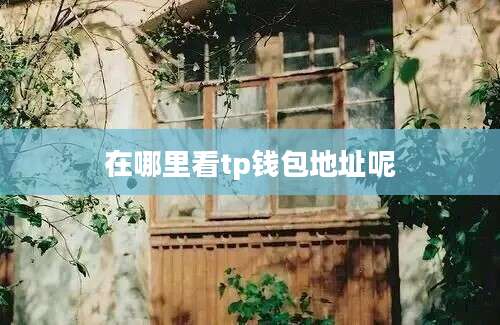 在哪里看tp钱包地址呢