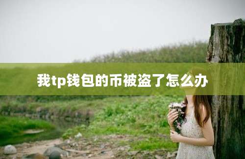 我tp钱包的币被盗了怎么办