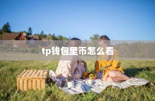 tp钱包里币怎么看