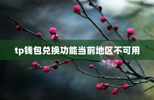 tp钱包兑换功能当前地区不可用