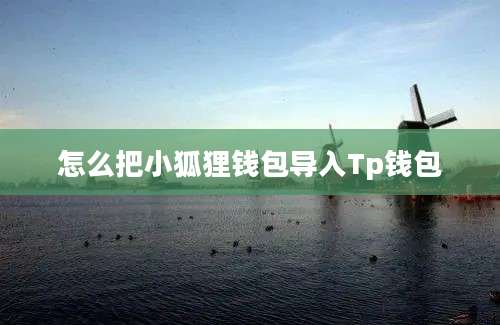 怎么把小狐狸钱包导入Tp钱包