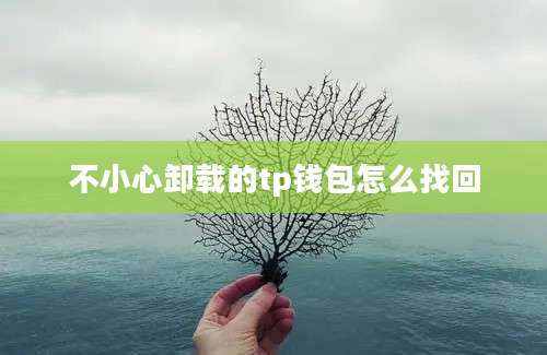 不小心卸载的tp钱包怎么找回
