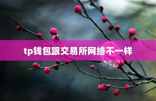 tp钱包跟交易所网络不一样