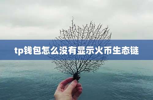 tp钱包怎么没有显示火币生态链