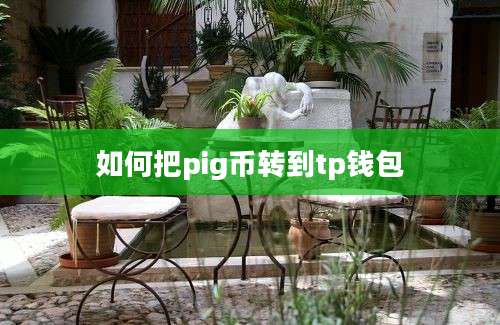 如何把pig币转到tp钱包