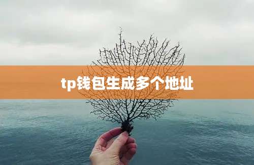 tp钱包生成多个地址
