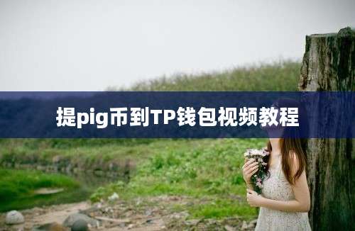 提pig币到TP钱包视频教程