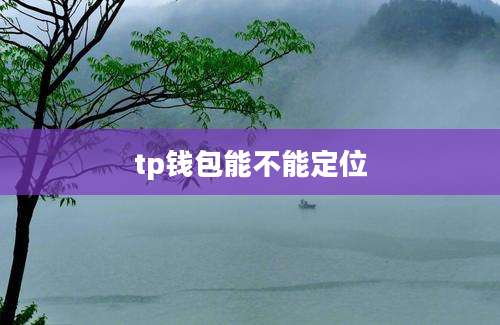 tp钱包能不能定位