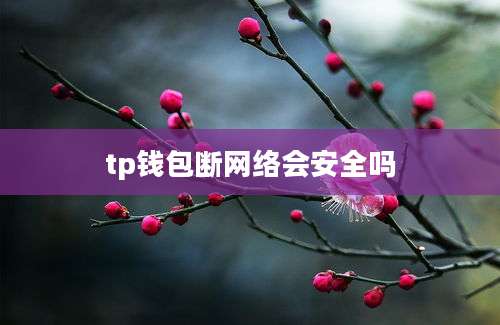 tp钱包断网络会安全吗