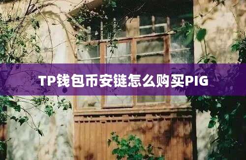 TP钱包币安链怎么购买PIG