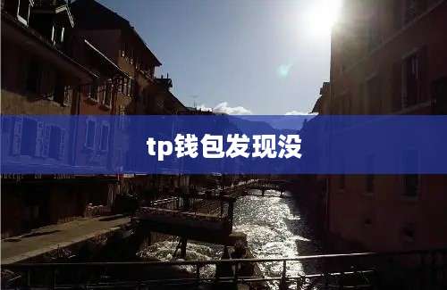 tp钱包发现没