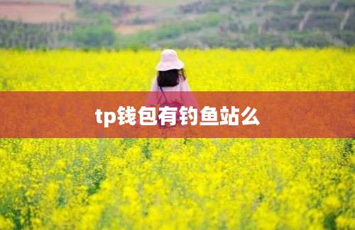 tp钱包有钓鱼站么