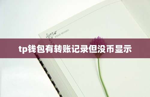 tp钱包有转账记录但没币显示