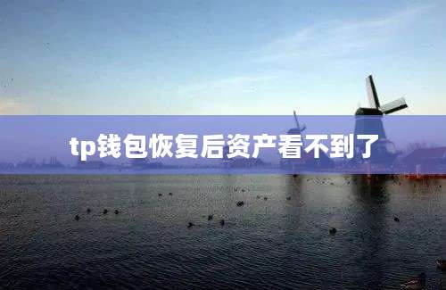 tp钱包恢复后资产看不到了