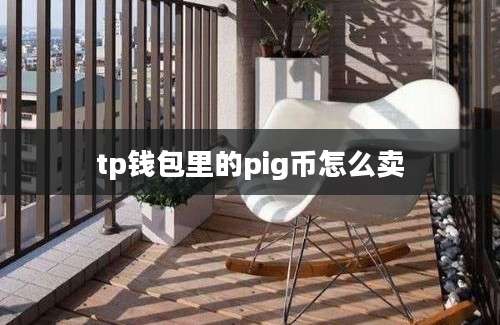 tp钱包里的pig币怎么卖