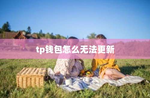 tp钱包怎么无法更新