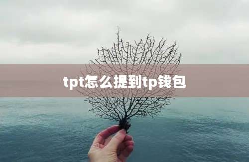tpt怎么提到tp钱包