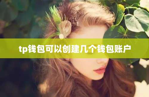 tp钱包可以创建几个钱包账户