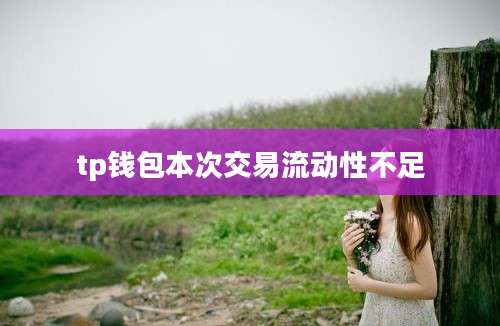 tp钱包本次交易流动性不足