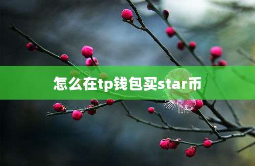 怎么在tp钱包买star币