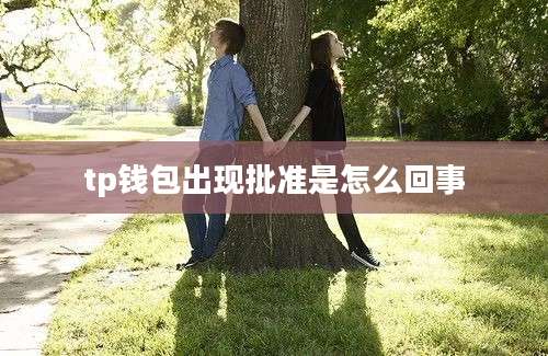 tp钱包出现批准是怎么回事