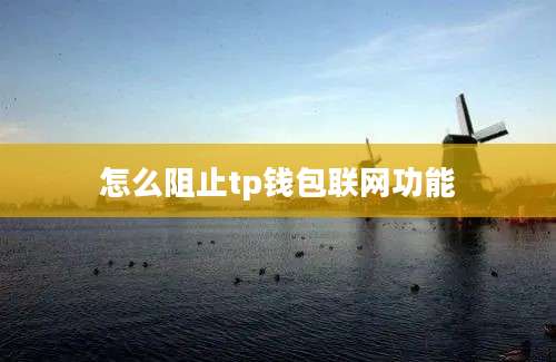 怎么阻止tp钱包联网功能