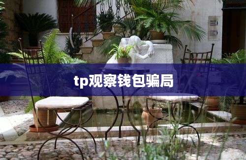 tp观察钱包骗局