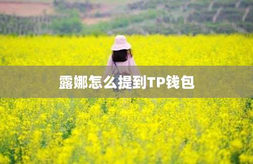 露娜怎么提到TP钱包