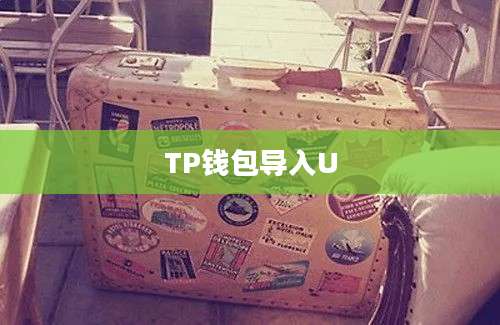 TP钱包导入U
