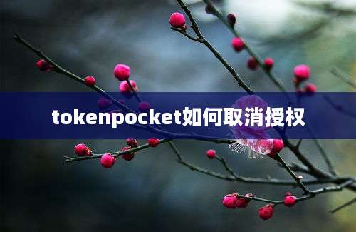 tokenpocket如何取消授权