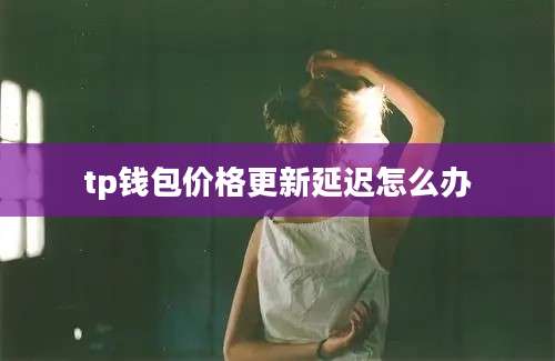 tp钱包价格更新延迟怎么办