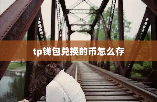 tp钱包兑换的币怎么存