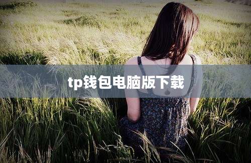tp钱包电脑版下载
