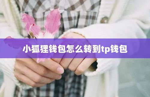 小狐狸钱包怎么转到tp钱包
