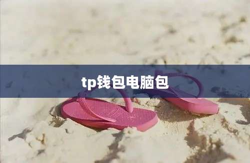 tp钱包电脑包