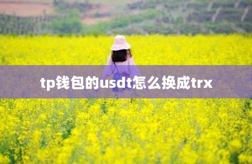 tp钱包的usdt怎么换成trx