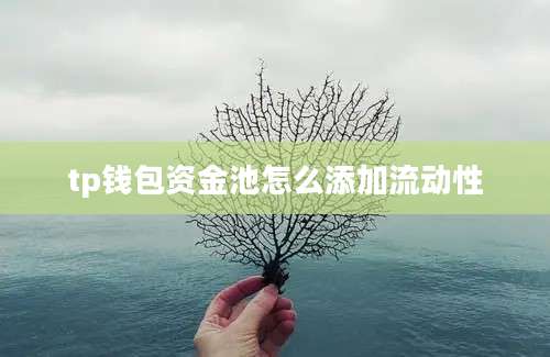 tp钱包资金池怎么添加流动性
