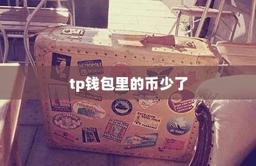 tp钱包里的币少了