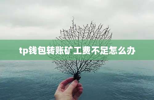 tp钱包转账矿工费不足怎么办