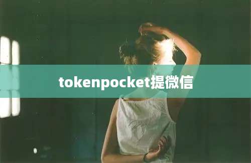 tokenpocket提微信