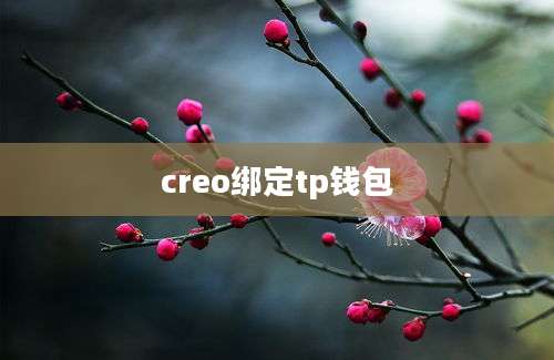 creo绑定tp钱包