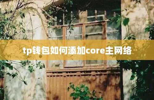 tp钱包如何添加core主网络
